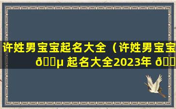 许姓男宝宝起名大全（许姓男宝宝 🐵 起名大全2023年 🌾 ）